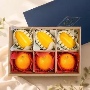 [어버이날] 도담 6구 2종 과일선물세트 1호(참외+오렌지)