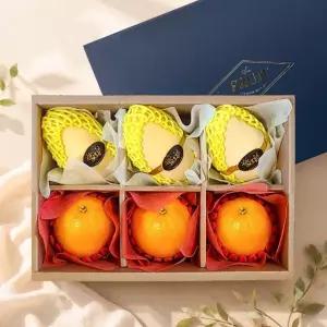 [어버이날] 도담 6구 2종 과일선물세트 2호(망고+오렌지)