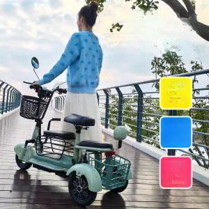 cha 2인용전기자전거 세발 튼튼한자전거