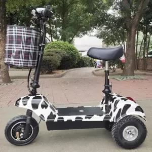 3륜 스쿠터 여성 어르신 전동차 전기 자동차 골드