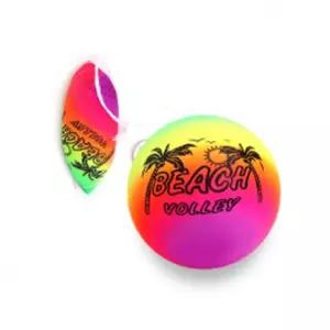 야자수 비치볼  [평점상위]