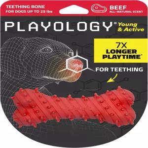 Playology 강아지 장난감 어린 활동적인 소고기 뼈난감 비독성 소재 향 치발기 소형