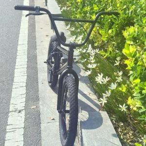 웅즈 BMX 자전거 고급형 풀샥 스턴트 묘기 범쓰네 로드 유압디스크브레이크