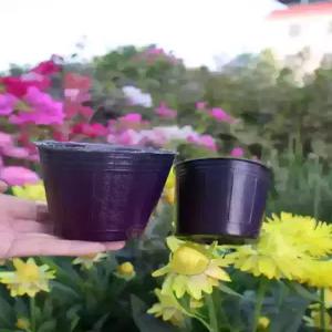 닥스 ACC 선물포장쇼핑백동봉 블랙 DD장식 가죽 자동벨트 DBBE2F762BK