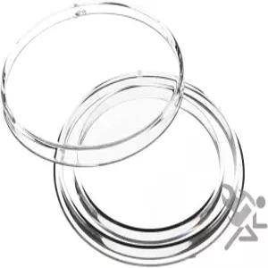 5 에어타이트 H32 다이렉트 핏 코인 홀더 캡슐 1온스 아메리칸 골드 이글스와 크루거랜드 캥거루용