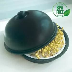 국내생산 콩나물 재배기 집에서 새싹 키우기 유치원/식물/가정용/재배