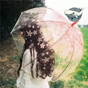 꽃잎 투명 장우산 2개 가벼운 방수 우산 대형우산 패션우산 이쁜우산 큰우산 비닐우산