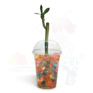 개구리알개운죽기르기