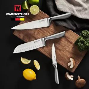 II 베겐슈타이거 슈미트 나이프 ( 식칼 음식칼 과도 산도쿠 셰프