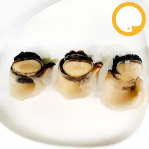 참소라 피뿔고둥살, 냉동 자숙, 1kg 2L (약16~25개)