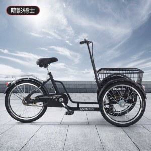 역삼륜 자전거 짐칸 야채 블루 운반 산책 바디 가방