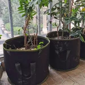 베란다 텃밭 대형 부직포 화분 2p세트 감자 모종화분 (WC1B31C)