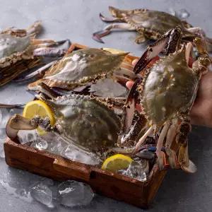 제철 생물 암꽃게 3kg(12-18미) 빙장포장/태안 자연산 꽃게