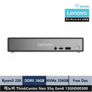 레노버 미니PC ThinkCentre neo 55q Gen6 13GNS00300 AMD R5 220/16gb/256gb/FreeDos 시리얼포트 - ps