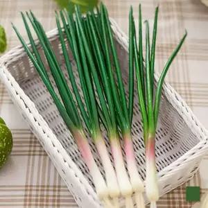 아트박스/플라워트리 파 모형 채소 과일 빵 모조 인조 가짜 야채 장식 소품