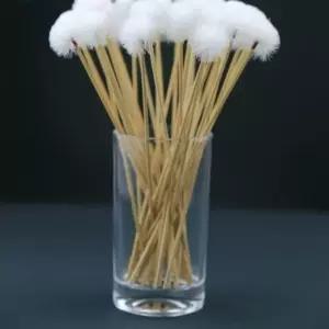 꽃가루 붓 수정 스틱 원예 막대기 브러시 깃털 인공용