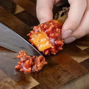 [아침애딴] 통영 가성비 활 멍게 9kg