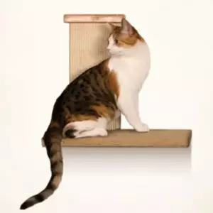 고양이 캣타워 장난감 놀이 기구 클라이머 스크래쳐