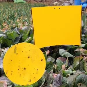 파리끈끈이 가든트랩 사각 노란 끈끈이 스티커 5매입 파리끈끈이