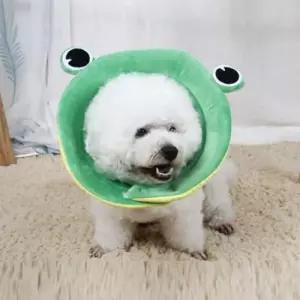 큐티 동물농장 반려동물 쿠션 넥카라 2타입