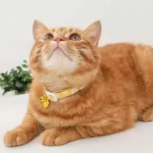 [하프클럽/셀러허브(펫)]펫 용품 방울 꽃 목걸이 고양이 하네스 소형견목줄