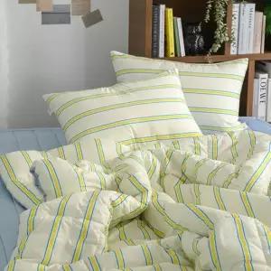 사계절 양면 일체형 차렵이불 패드 세트 Q 극세사 차렵이불