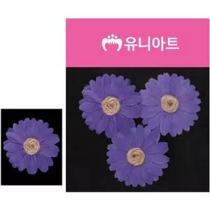 보라 조화꽃 마국화