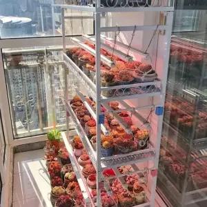 다육선반 화분 물빠짐 진열대 다층 화이트 철제 식물장