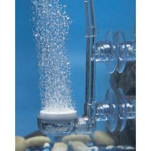 파플라이 수족관 에어 스톤 디스크, 0.9인치 미포함) 액세서리 버블러 키트, 버킷용 어항 튜브 및 소형 스톤(펌프 초고용해