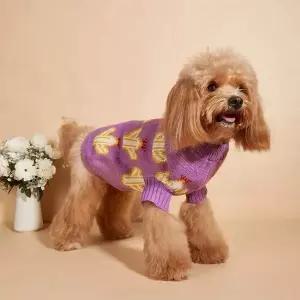 강아지가을옷 강아지옷 선인장 니트 스웨터