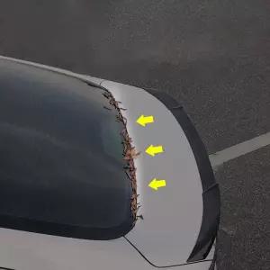 자동차 트렁크 씰 스트립 방수 방진 고무 후면 웨더 잎사귀 비 눈 먼지 방지 범용