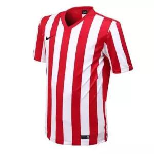 [나이키]나이키 반팔티 AS SS 나이키 스트라이프 디비전 저지(657) ZQ 608025 657