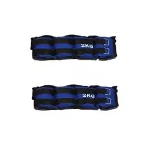 [하프클럽/알티피아]모래주머니4kg (2kg x2)/중량밴드 발목용 헬스용품