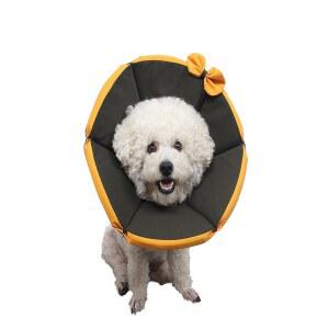 소프트 대형견 강아지 넥카라 겸용 대형견용 목보호대 가벼운 쿠션