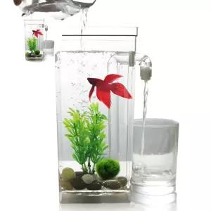 물멍 자동 청소 어항 금붕어 구피 해수어 베타 키우기