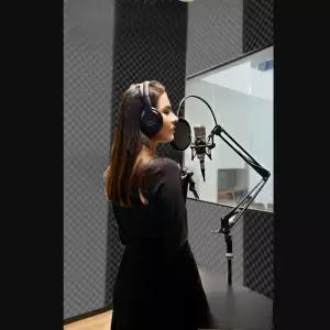 방음 패널 음향 패드 방수 방음벽 자가 접착 패딩 자동차 스튜디오용