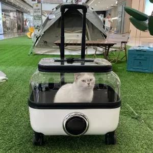 고양이 투명캐리어 켄넬 이동식 슬링백 강아지