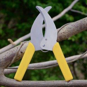 대추 농업용 스트리퍼 사과 커터가위 벗기기 껍질 깎이 조경 컷팅 나무 원예