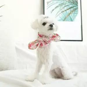 [반려] 강아지목도리 복숭아 트로피 강아지 애견 머플러 스카프 L X2개 강아지케이프