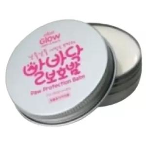 강아지 멀티 보호밤 1P 발바닥 패드 건조 보습 진정 kRF4+3iAY