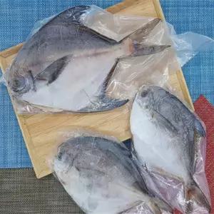 유쎌스토어 병어 1팩 1마리 200G 냉동 냉동생선 국내산손질병어