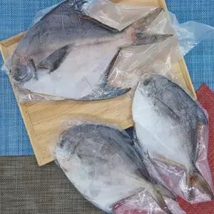 유쎌몰 병어 1팩 1마리 350g 냉동 국산병어