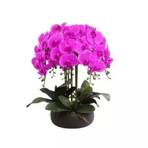 서양난 조화 화분 승진 선물 호접란 원예용 화이트 가짜