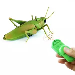 곤충놀이 움직이는 메뚜기 모형 장난감 피규어 선물