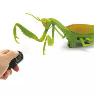 무서움 극복 무선 조종 사마귀 장난감 완구 동물 작동