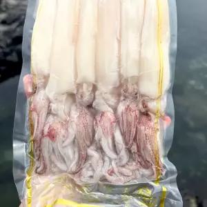 제주 손질 한치 1팩 500g 총1kg 생물 한치 제주 손질 회