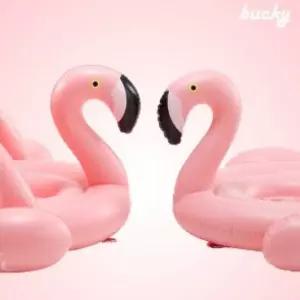 버키 플라밍고 핑크 튜브 (100cm) PP-1