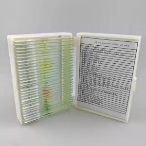 곤충 식물 과학 학습 홈스쿨과 함께 준비한 생물학 표본 실험실 30개 현미경 슬라이드