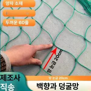 두우둥 애플수박지지대 애플수박 사각 호박 덩굴 넝쿨