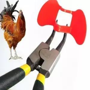 닭싸움 방지 닭안경 펜치 세트 가금류보호 농장용품 관리도구